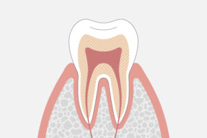 歯の外側層